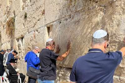 WhatsApp Image 2024-09-24 at 17.07.43 (8).jpeg